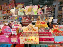 -玩动奇季品牌玩具超市