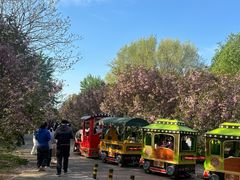 -长白岛森林公园