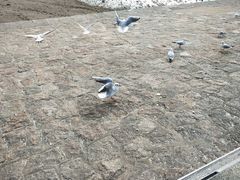 -青岛东方影都融创水世界