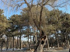 -长春市南湖公园