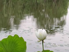 -东郊湿地公园