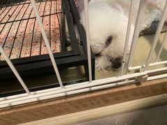 -宠颐生宠物医院·心肾内科·猫专科诊疗中心宠巢店