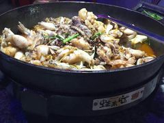 -蛙来哒(金沙洲万达店)