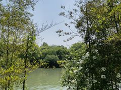 -西溪国家湿地公园