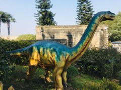 -自贡恐龙博物馆