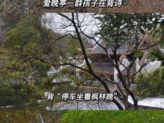 -橘子洲景区