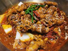 -成老灶火锅鸡(平山店)