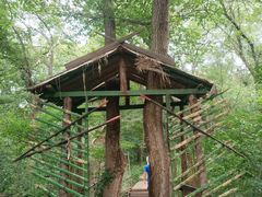 -大青沟风景区