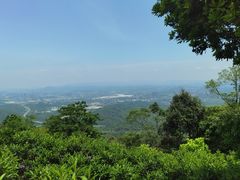 -黄埔油麻山森林公园