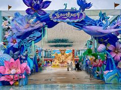 -海合安成都极地海洋公园