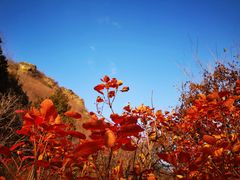 -香山公园