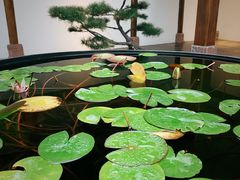-广富林宰相府酒店·水云间