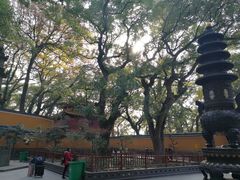 -普陀山风景名胜区-法雨禅寺