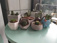 -蜜蜂小象·榴莲千层蛋糕(时代汇11栋店)
