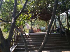 -大岭沟猕猴桃谷风景区