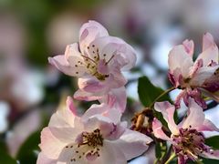 -杭州城北体育公园