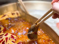 小龙坎毛肚-小龙坎火锅(阳泉店)