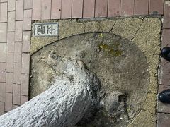 -陆氏太后饼(富平店)