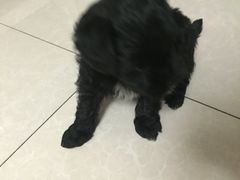 -幸福蓝海国际影城(西安立丰店)