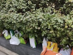 -肯德基(蓝桥店)