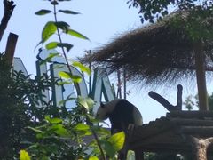 -武汉动物园