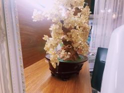 -净颜专业祛斑祛痘