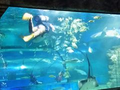 -苏州海洋馆