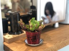 -怪 kafe.