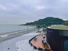 -野狸岛