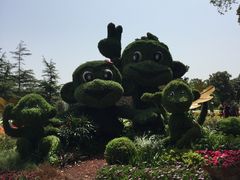 -上海鲜花港