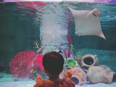 -沈阳海洋探索中心