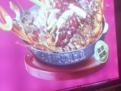 -老板恋上鱼(恒隆广场店)