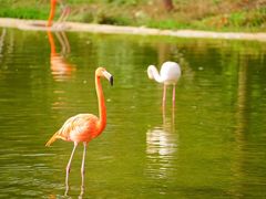 -杭州野生动物世界