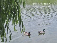 -上海怡沁园度假酒店