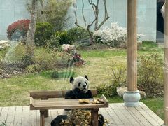 -无锡动物园·太湖欢乐园