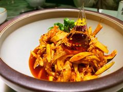 敲糖棒棒鸡-辛香汇·现炒川菜(淮海路百盛店)
