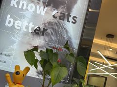 -半岛宠物医院24小时(西派城店)