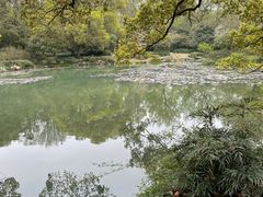 -杭州植物园