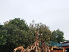 -哈尔滨北方森林动物园