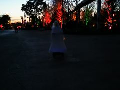 -七彩云南欢乐世界