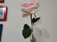 -Tomacado花厨(One ITC店)