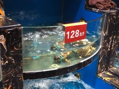 -一闻香迷宗蟹(金华江南店)