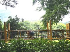 -杭州少年儿童公园