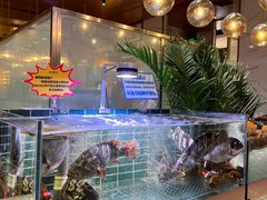 -丰卓会海鲜自助(中润大道店)