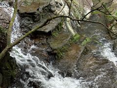 -东莞市大岭山森林公园