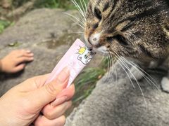 -沣峪森林公园龙潭戏水景区