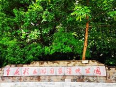 -重庆彩云湖湿地公园