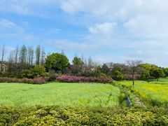 -杏花村文化旅游区