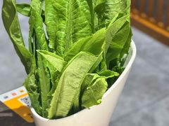 -东来顺铜锅炭火涮肉(上地华联店)