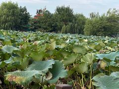 -云龙湖旅游景区
